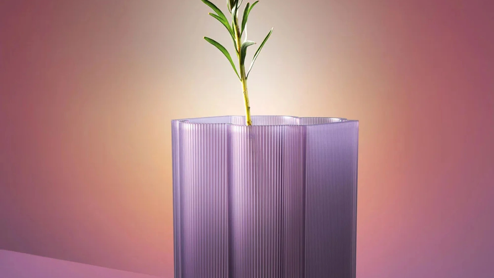 Vaso Okra di Kartell