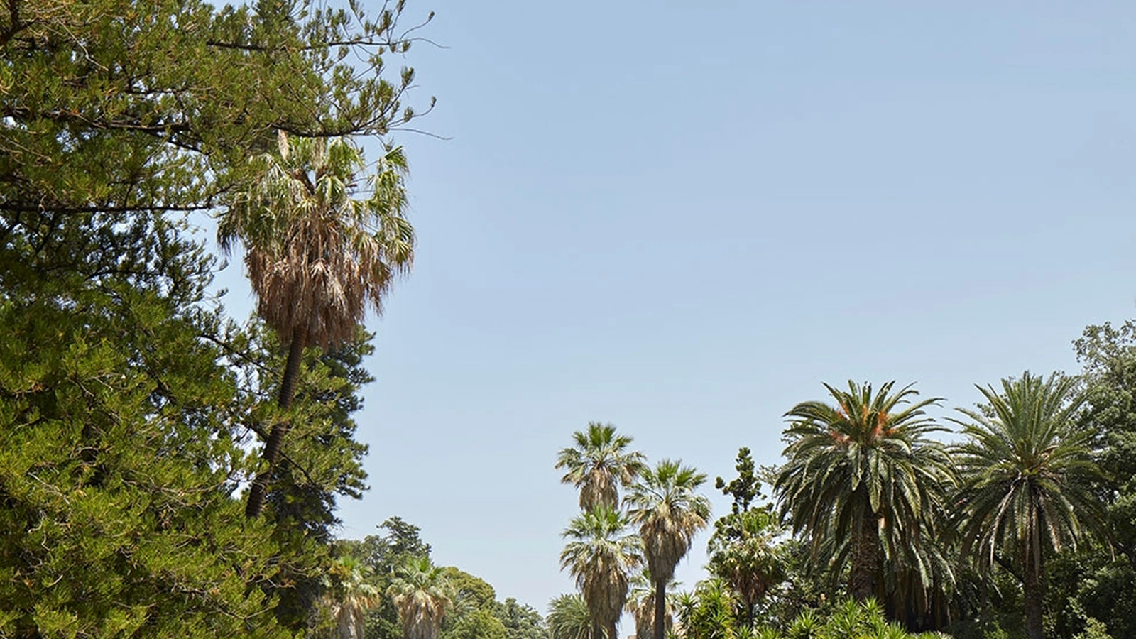 Sedia Papyrus di Kartell