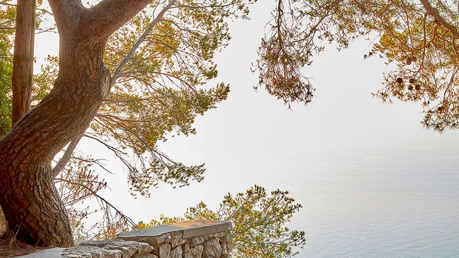 Sedia Smatrik Outdoor di Kartell